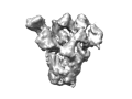 diepeveen-et-al-2022.png